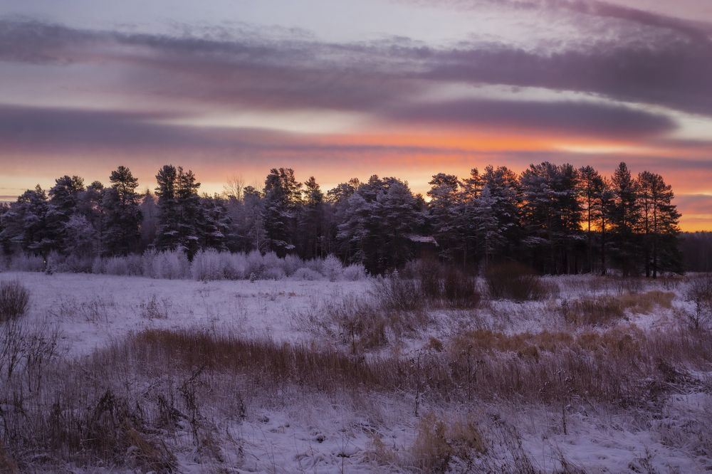 Photograph by Наталия Колтакова