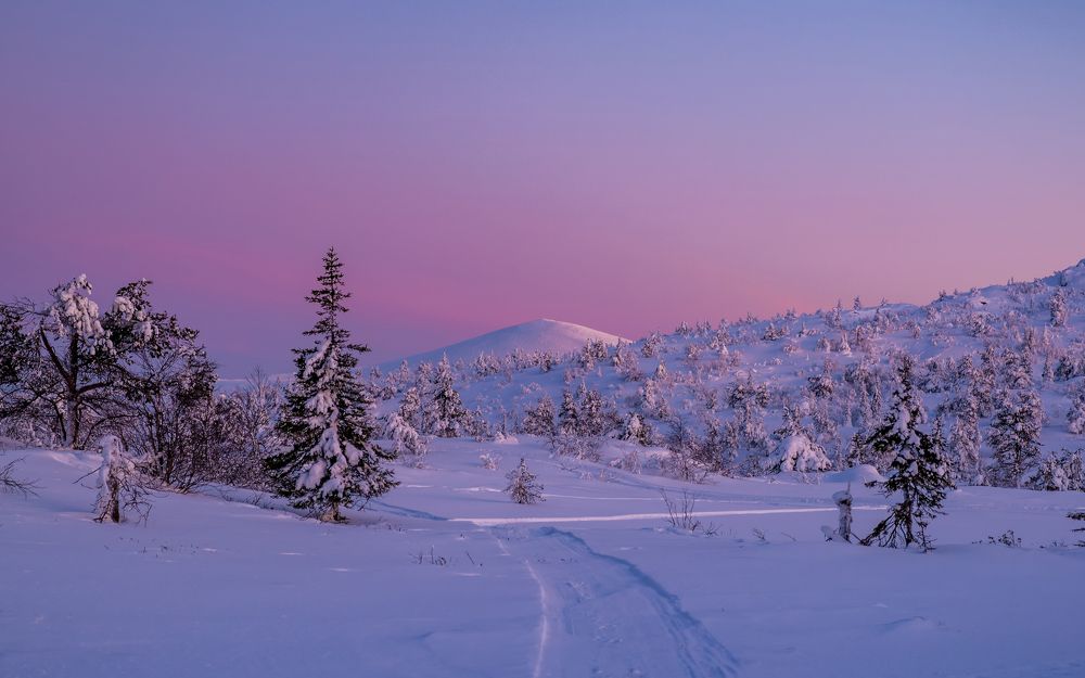 Фотография автора Мика Петров