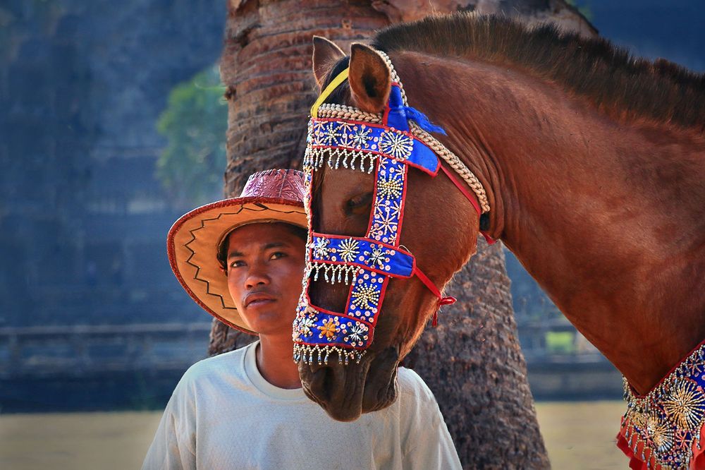 Photograph by Виктор Смирнов