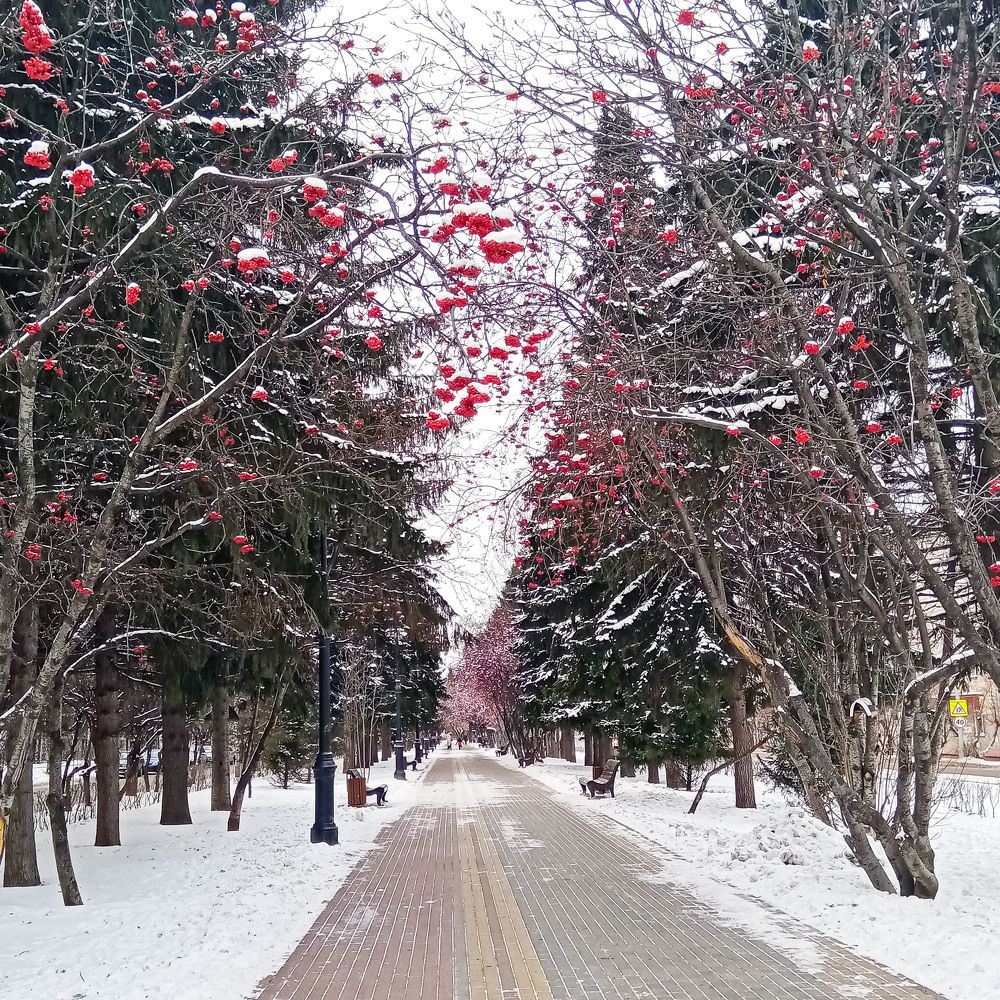 Photograph by Оксана Подъельская