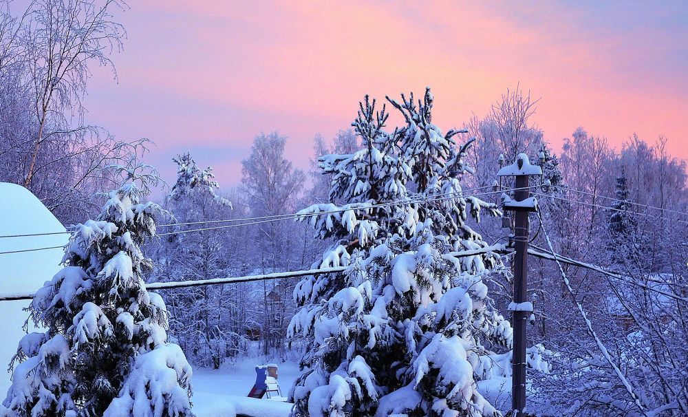 Photograph by Александр Пинаев