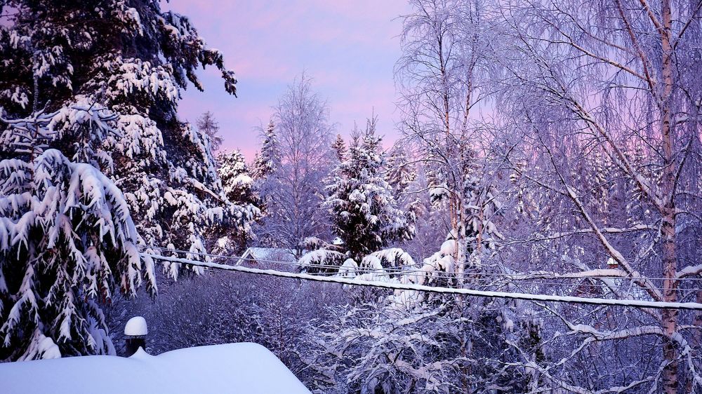 Photograph by Александр Пинаев