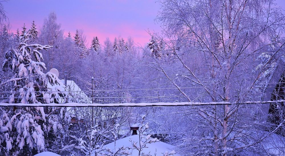 Photograph by Александр Пинаев