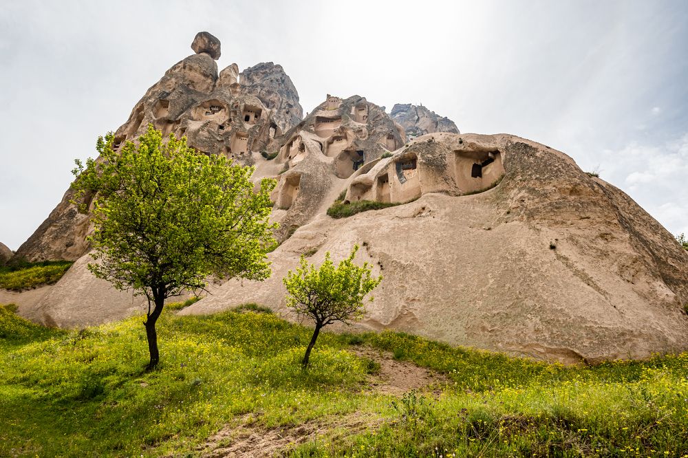 Photograph by Ivars Andrups