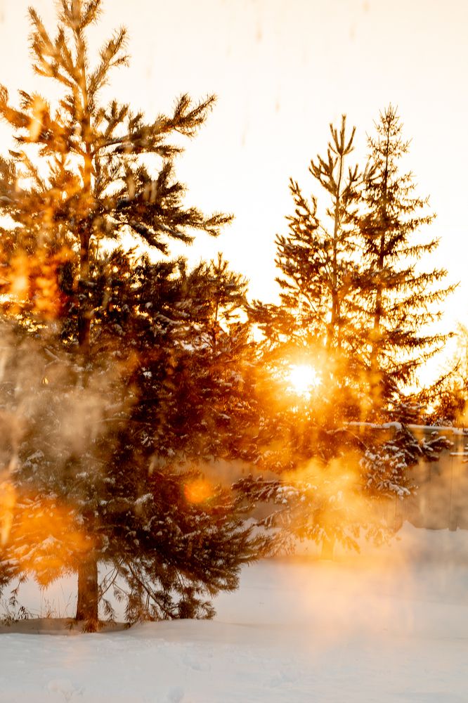 Photograph by Татьяна Арендаренко