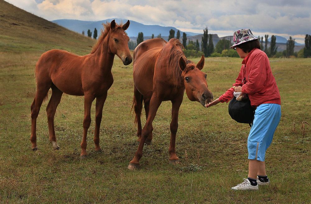 Photograph by Виктор Смирнов