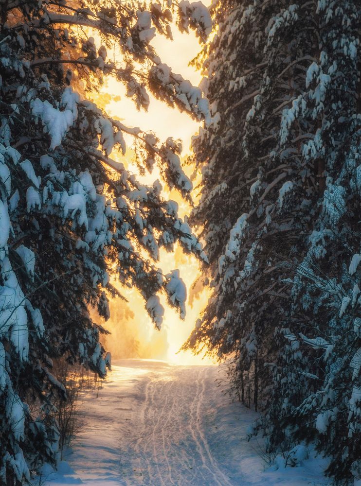 Photograph by Анастасия Глазюк