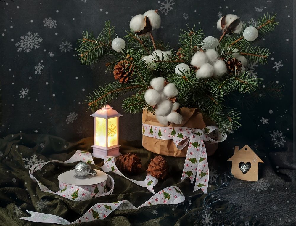 Photograph by Новикова Елена Сергеевна