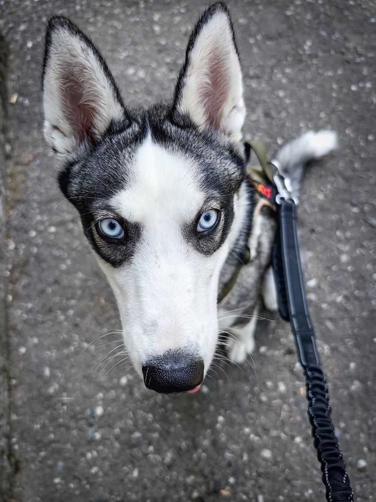 Photograph by Евгений Симион