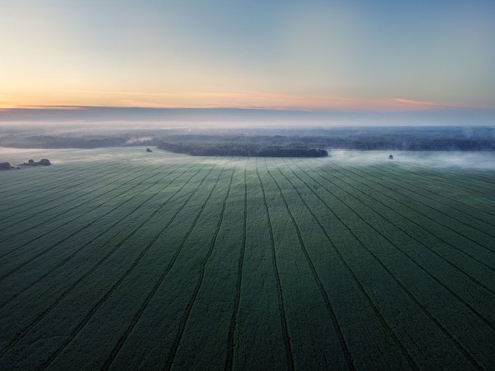 Туманный рассвет над полем Старицкого края