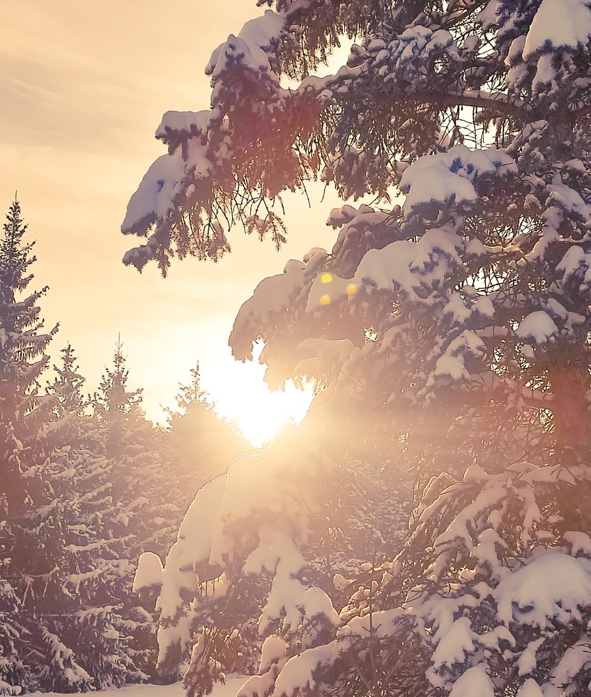 Photograph by Николай Яковлев