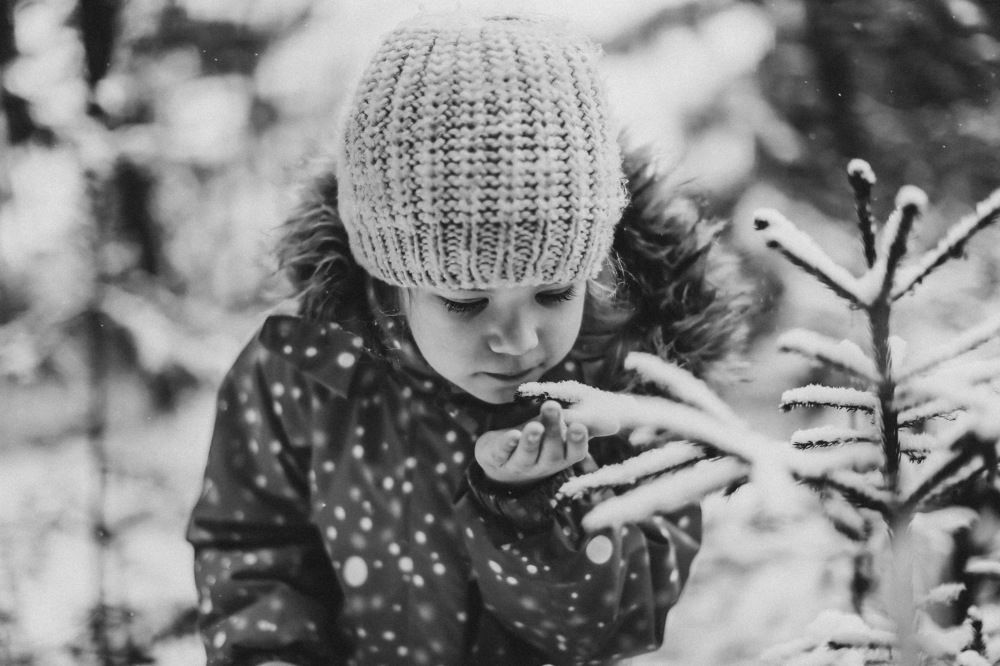 Photograph by Анастасия Исаичева