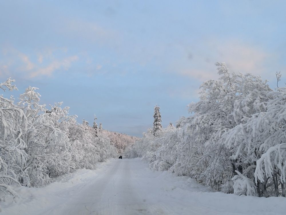 Photograph by Заломаева Надежда