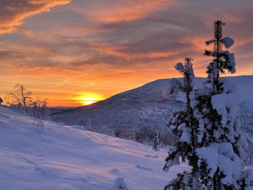 Photograph by Заломаева Надежда