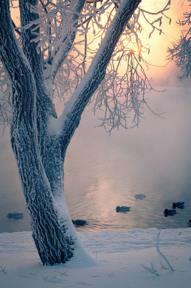 Photograph by Сергей Вальков