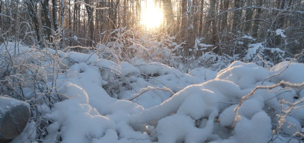 Photograph by Любовь Макарова