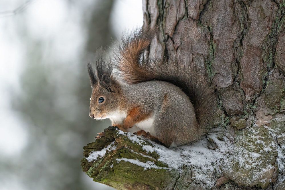 Photograph by Viktor Makarov