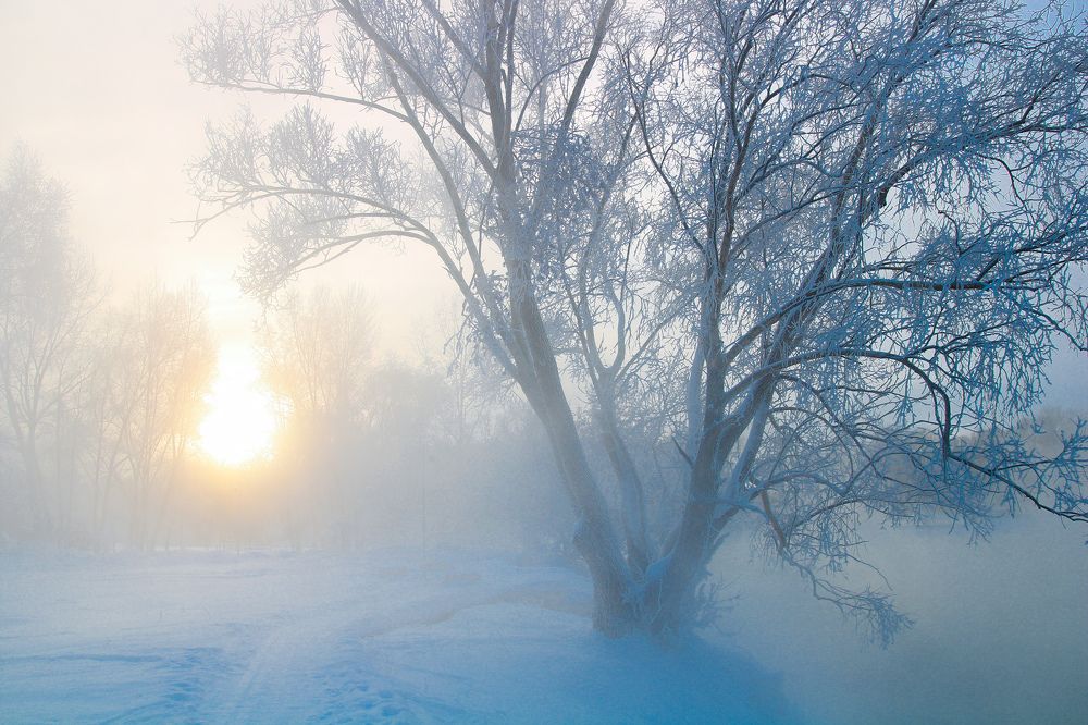 Photograph by Олеся Постнова