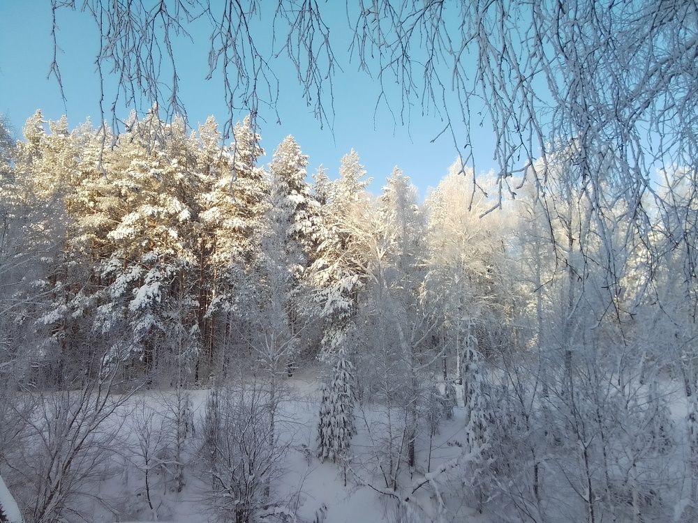 Зимнее солнце.