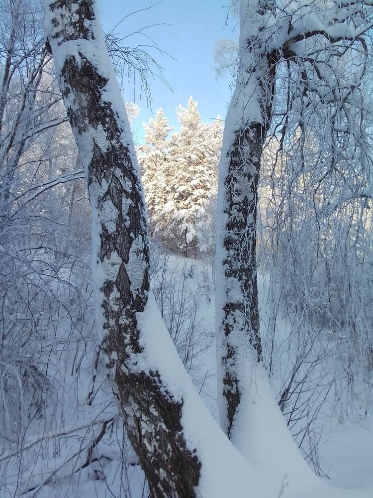 Зимняя картина.