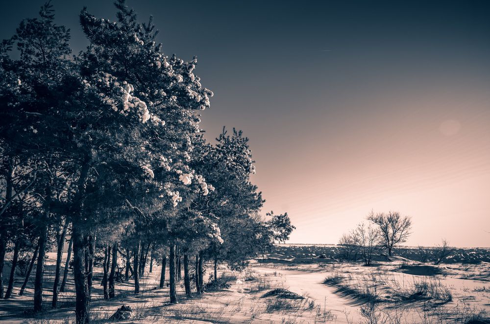 Фотография автора Наталья Алексеева