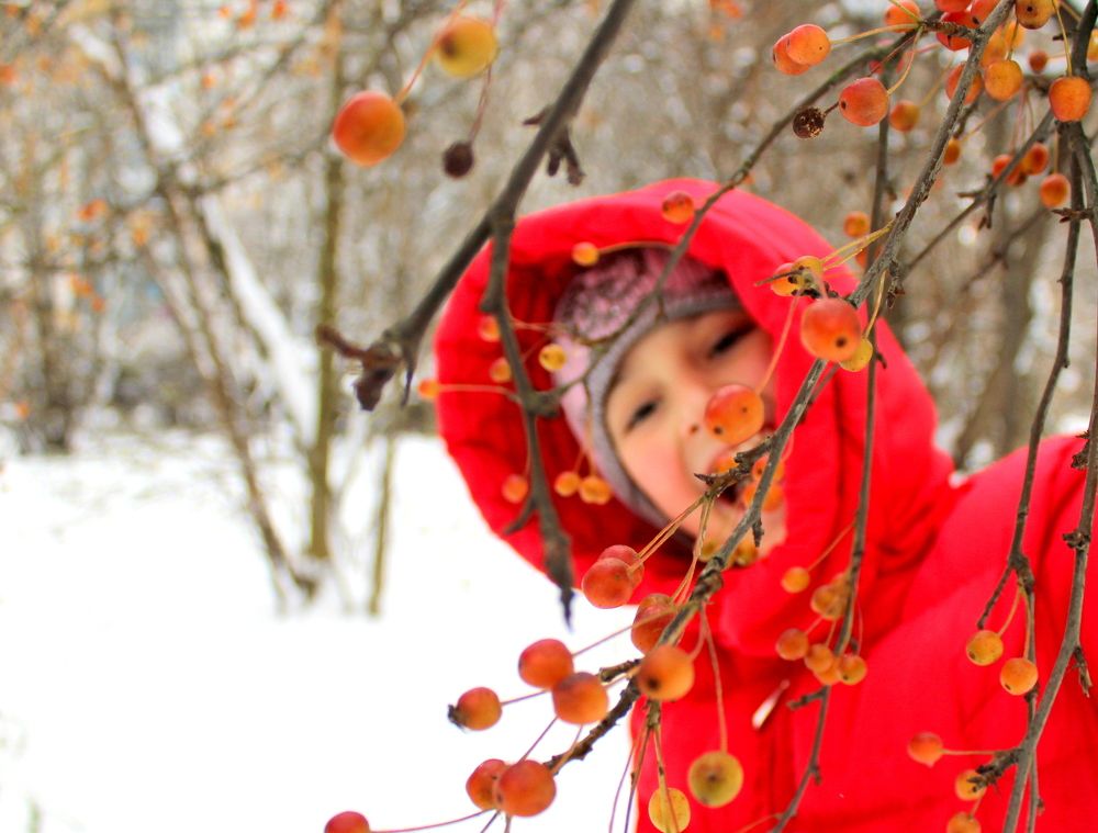 Photograph by Жанна Нечаева