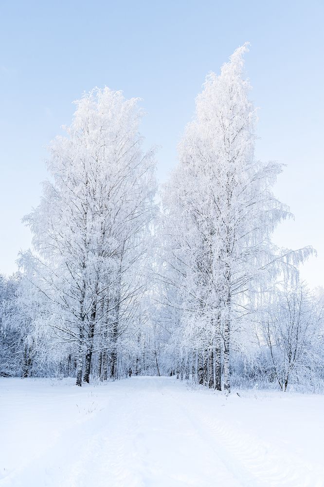 Photograph by Диана Бачу