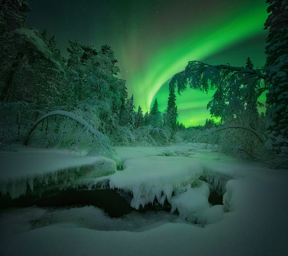 Photograph by Елена Ермолина