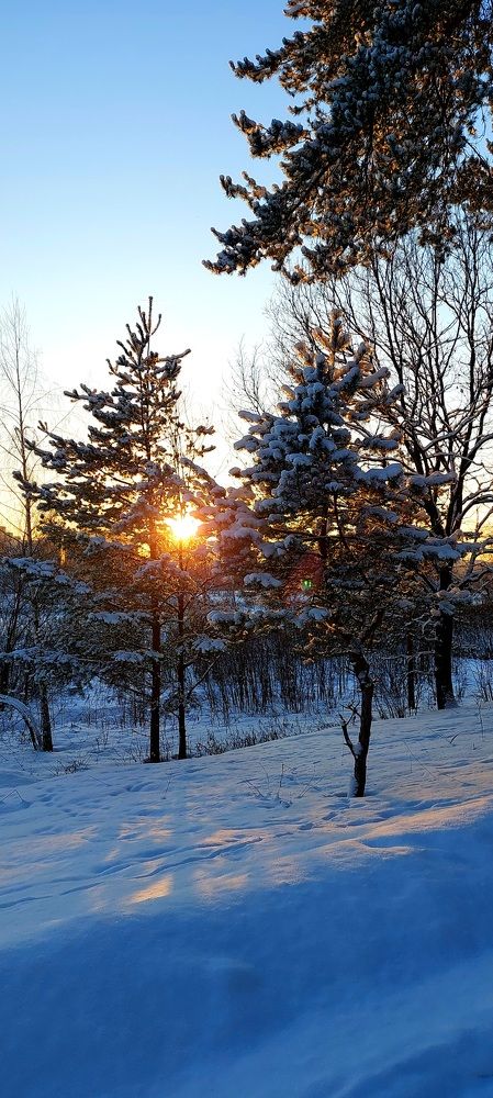 Фотография автора Можаев Сергей