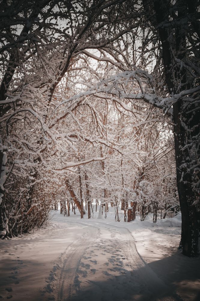 Фотография автора Кристина Шефер