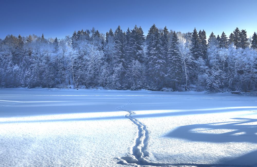 Фотография автора Вадим Любшин