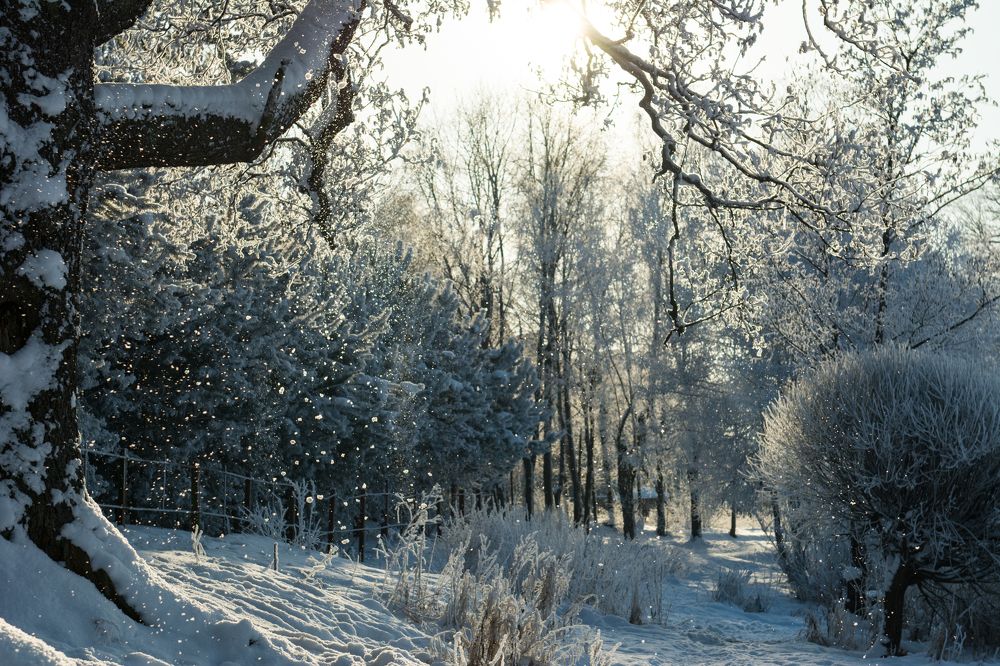 Фотография автора Irina Panina