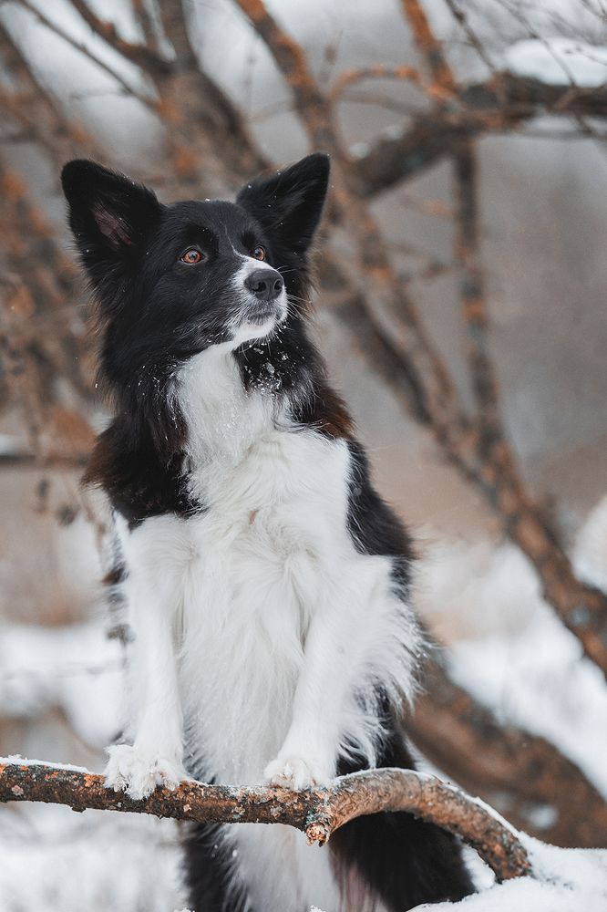 Photograph by Шитиков Владимир