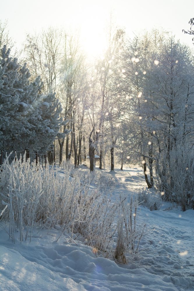 Фотография автора Irina Panina