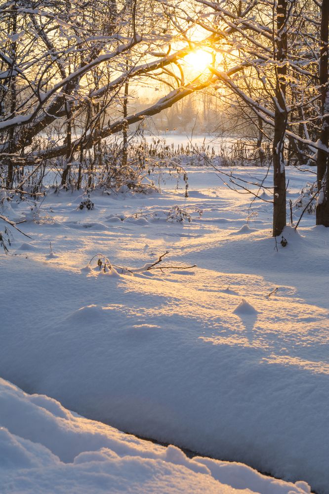 Фотография автора Irina Panina