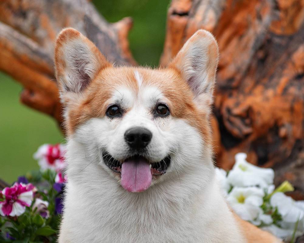 Photograph by Виктория Сафонова