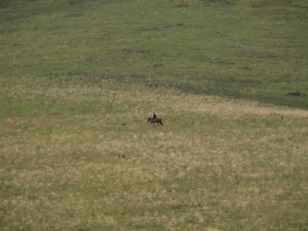 Photograph by Александр Журавлев