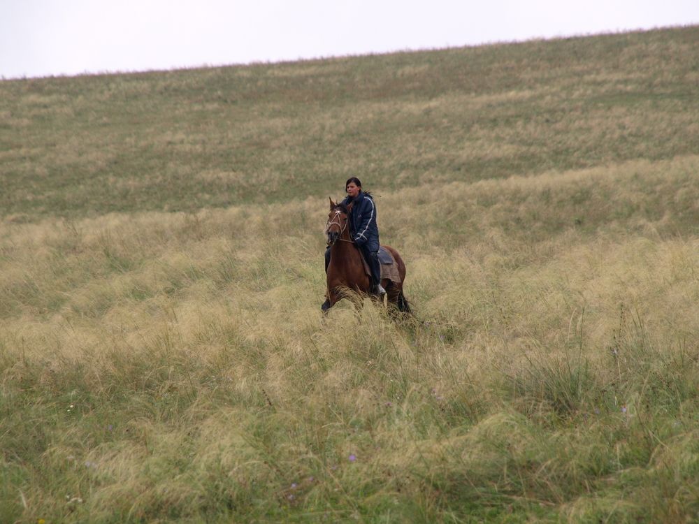 Photograph by Александр Журавлев
