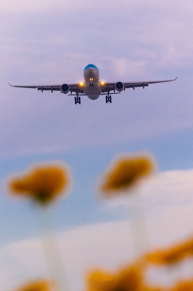 Фотография автора NGUYEN XUAN BAC