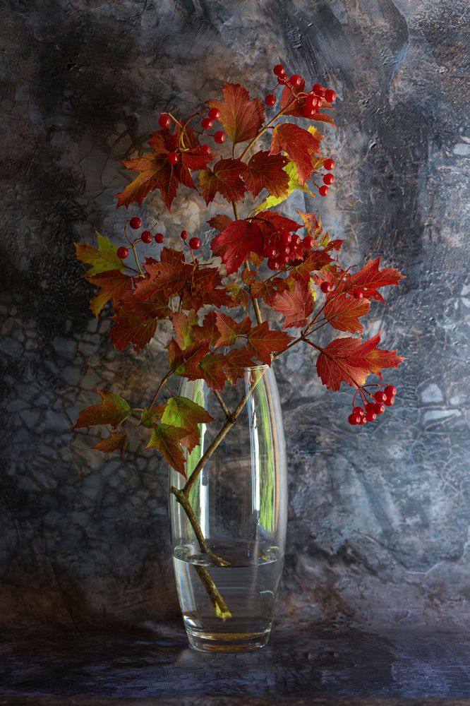 Photograph by Наталия Колтакова