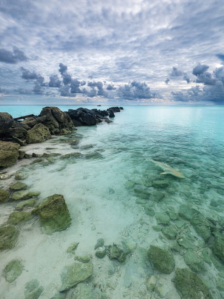 Остров полон звуков