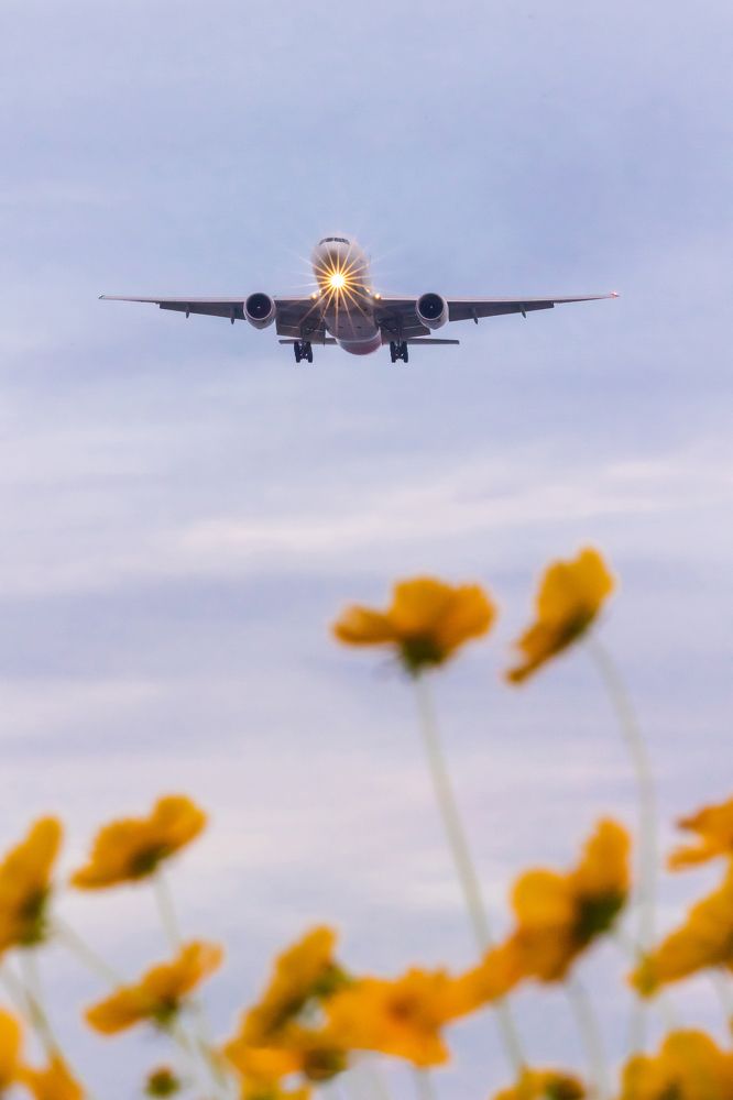 Фотография автора NGUYEN XUAN BAC