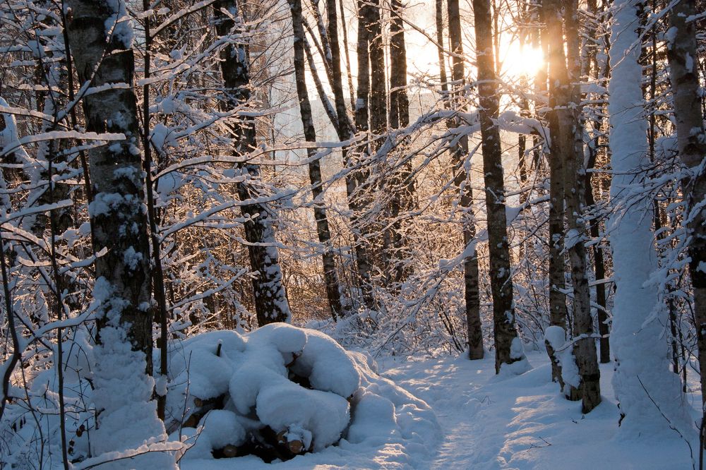 Солнце - на лето, зима - на мороз!