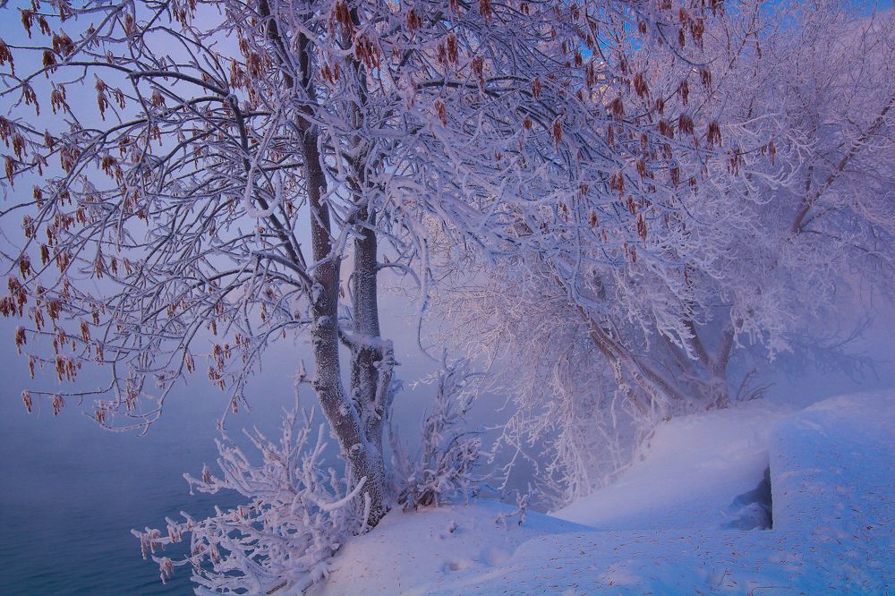 Photograph by Олеся Постнова