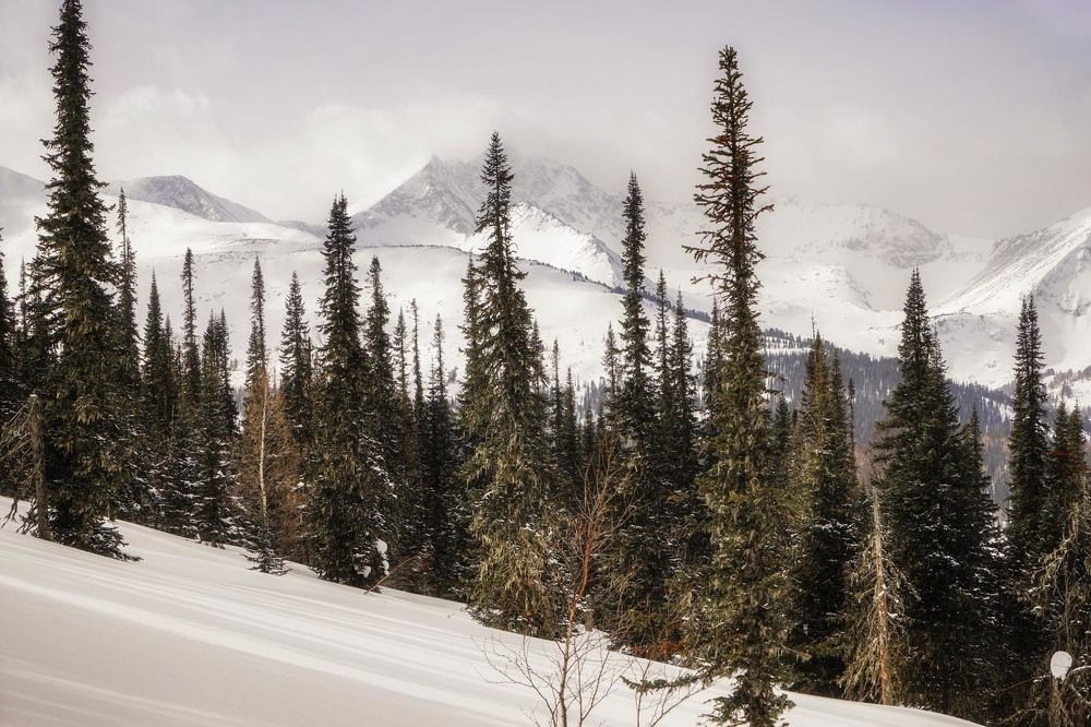 Фотография автора Татьяна Добровольская