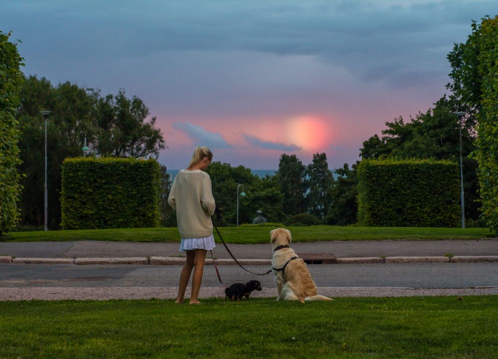 Фотография автора Irina Panina