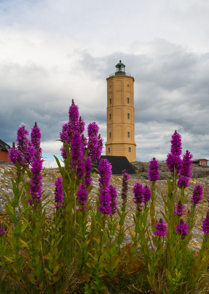 Фотография автора Irina Panina