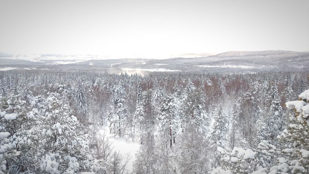 Photograph by Ольга Метлицкая