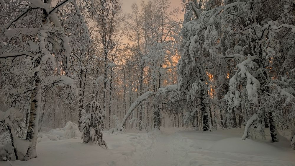 Photograph by Ольга Метлицкая