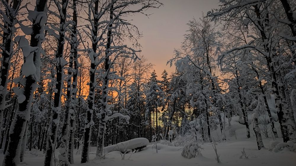 Photograph by Ольга Метлицкая